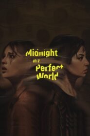 Midnight in a Perfect World